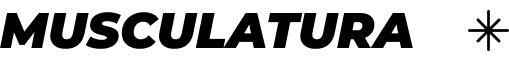 fisioterapia musculatura